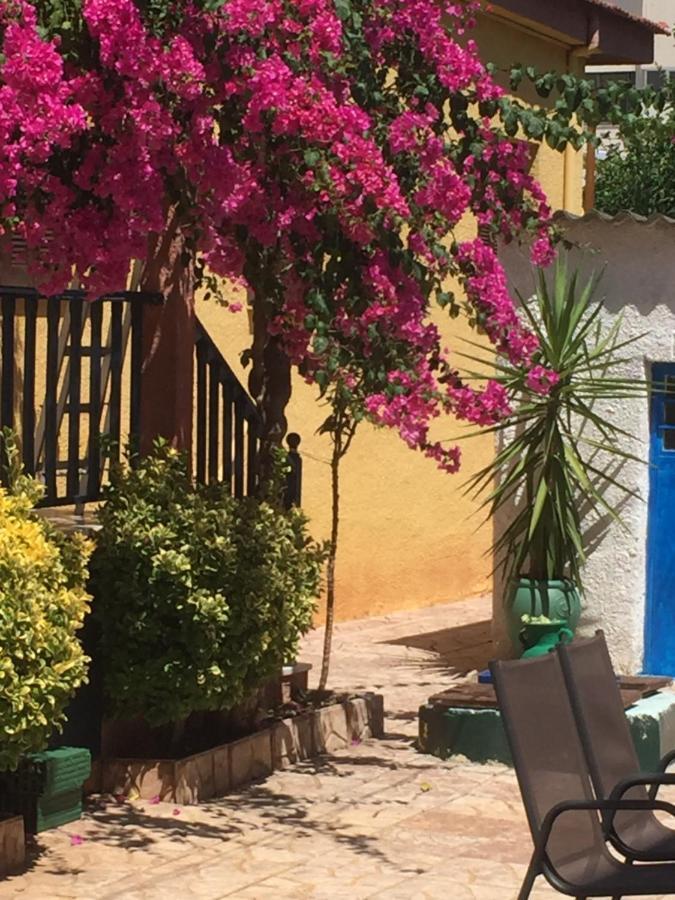 Cosy Guesthouse-Souterrain With Garden In City Center Corinth 외부 사진
