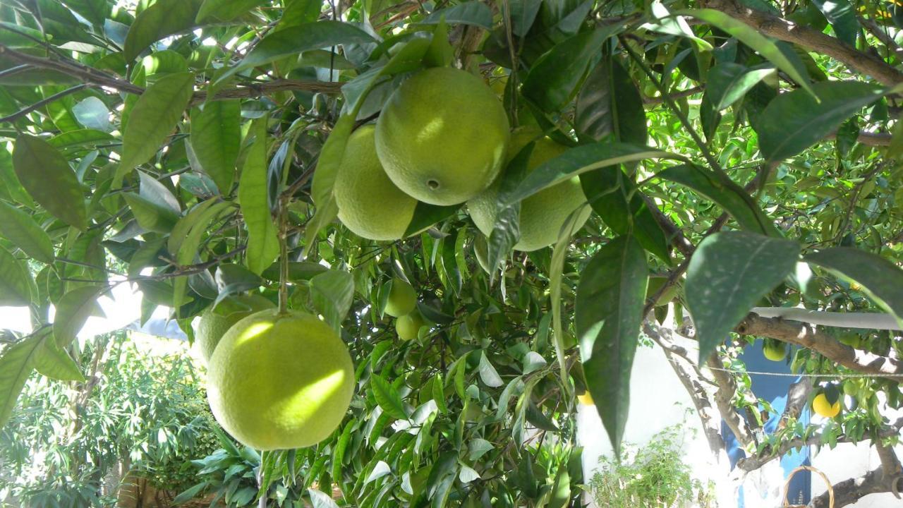 Cosy Guesthouse-Souterrain With Garden In City Center Corinth 외부 사진